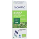Capsella bursa pastoris/bourse à pasteur - 50 ml