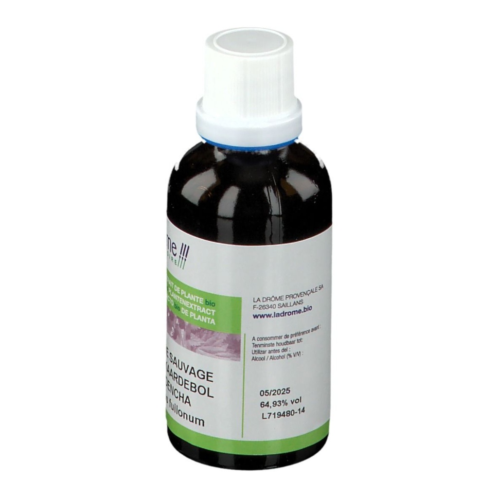Cardère sauvages - dipsacus fullonum (racine) - 50 ml