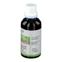 Cardère sauvages - dipsacus fullonum (racine) - 50 ml