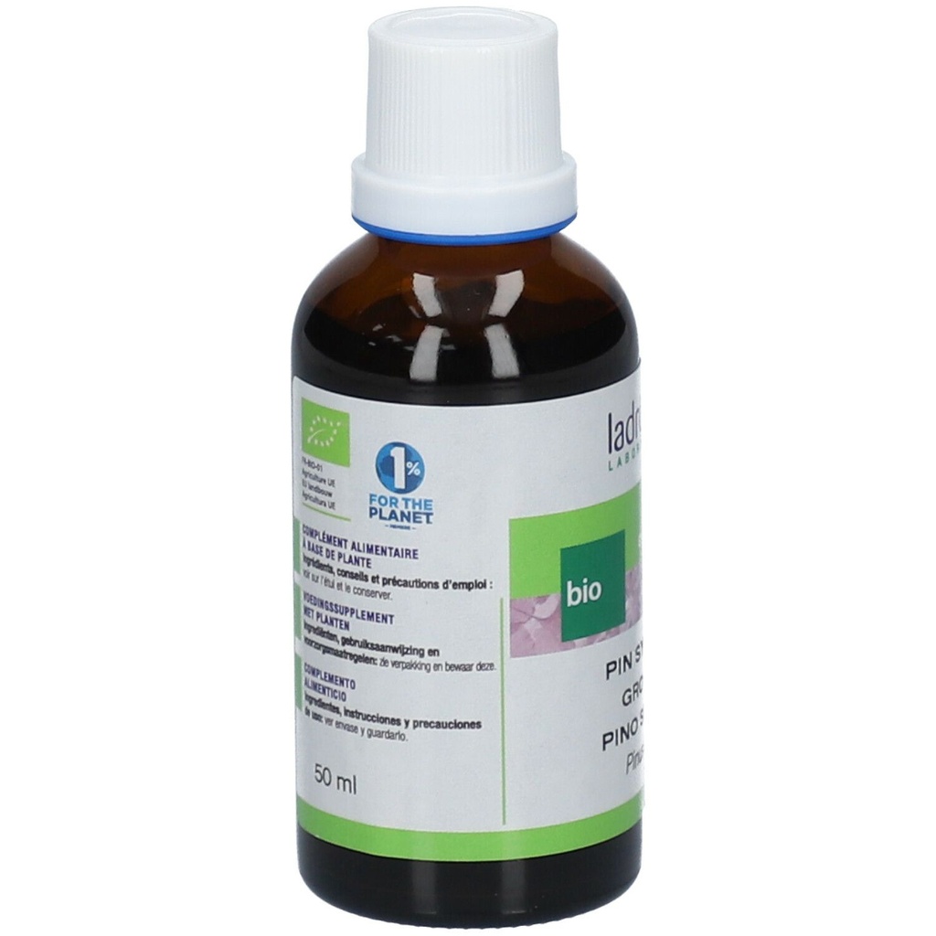 Aiguilles de pin sylvestre - 50 ml