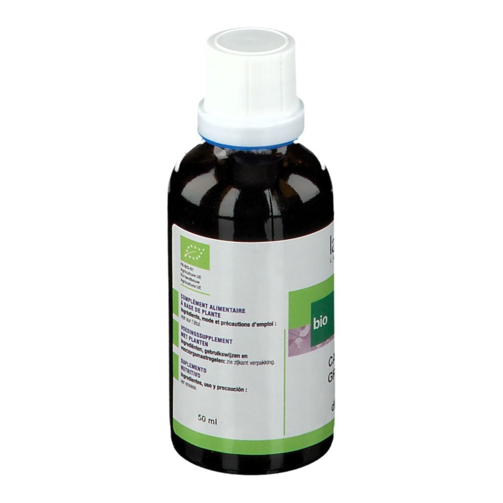Cardère sauvages - dipsacus fullonum (racine) - 50 ml