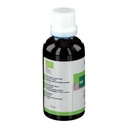 Cardère sauvages - dipsacus fullonum (racine) - 50 ml