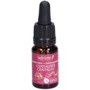 Centaurée/Centaury n°4 - 10 ml