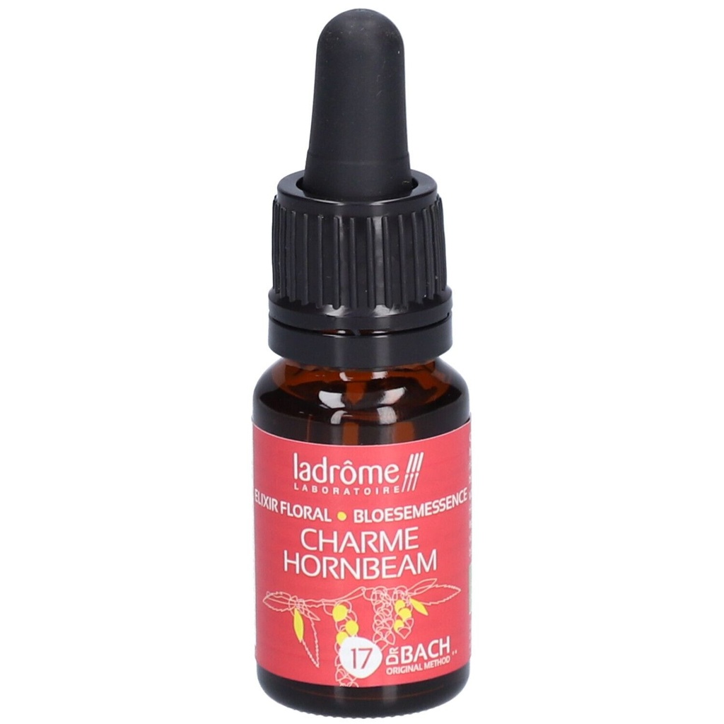Charme commun - hornbeam n°17 - 10 ml