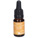 Chicorée sauvage - chicory n°8 - 10 ml
