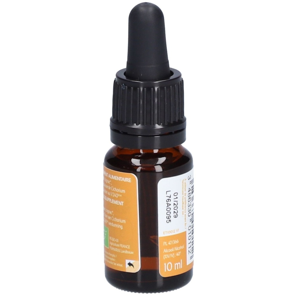 Chicorée sauvage - chicory n°8 - 10 ml