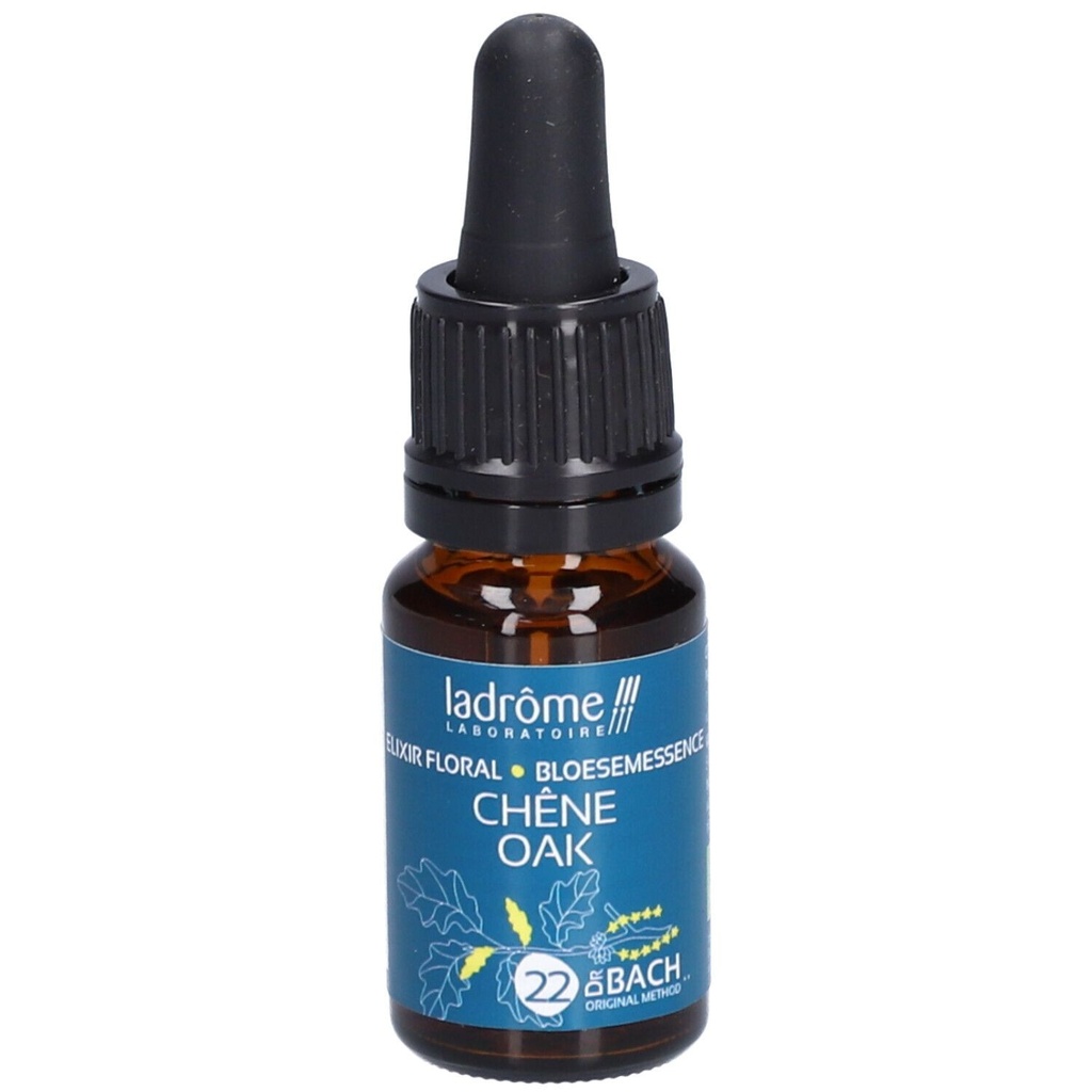 Chêne pédonculé - oak n°22 - 10 ml