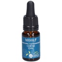 Chêne pédonculé - oak n°22 - 10 ml