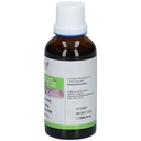 Aiguilles de pin sylvestre - 50 ml