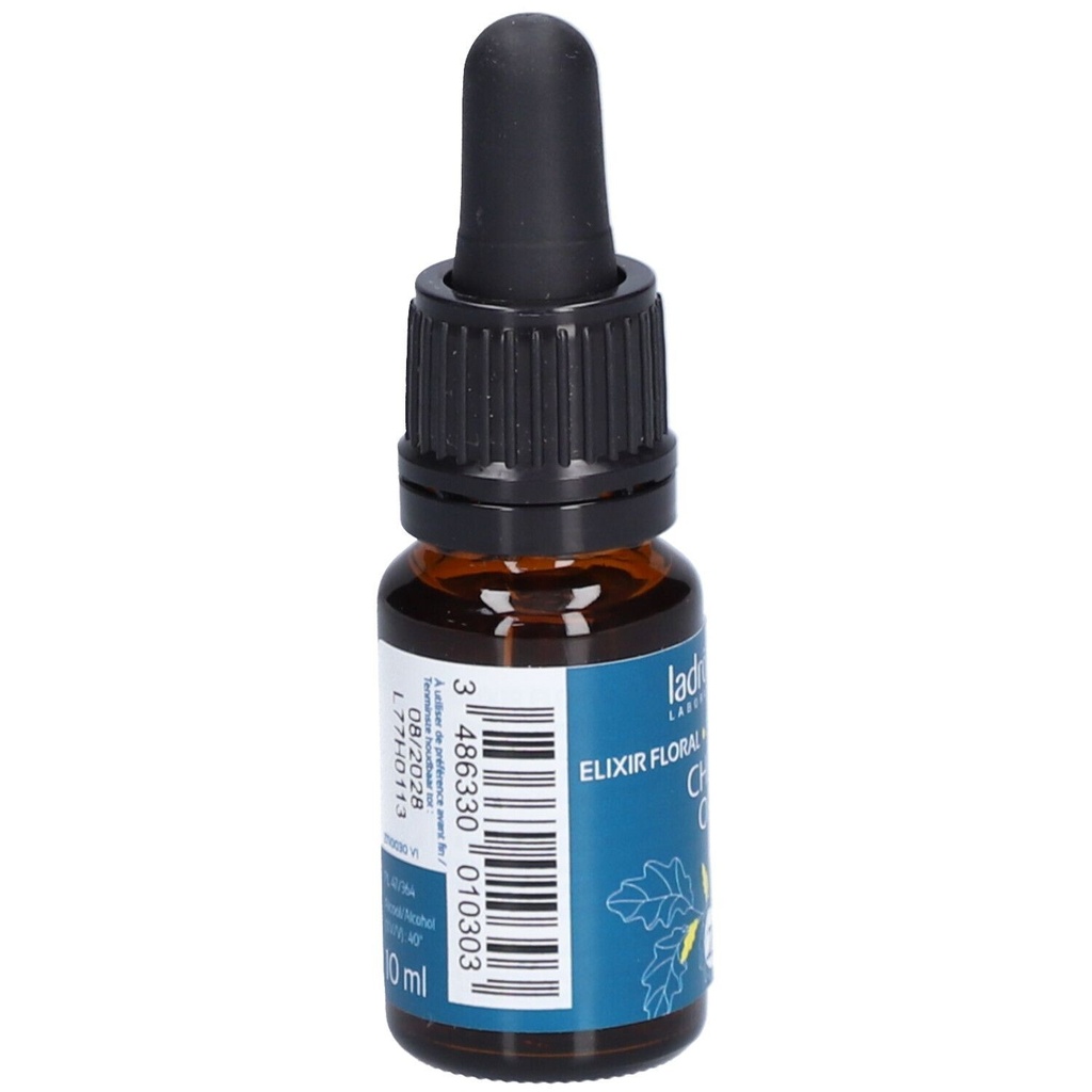 Chêne pédonculé - oak n°22 - 10 ml