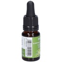 Clématite - clematis n°9 - 10 ml