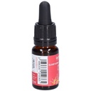Ajonc - gorse n°13 - 10 ml
