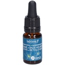 Etoile de bethléhem - star of bethlehem n°29 - 10 ml