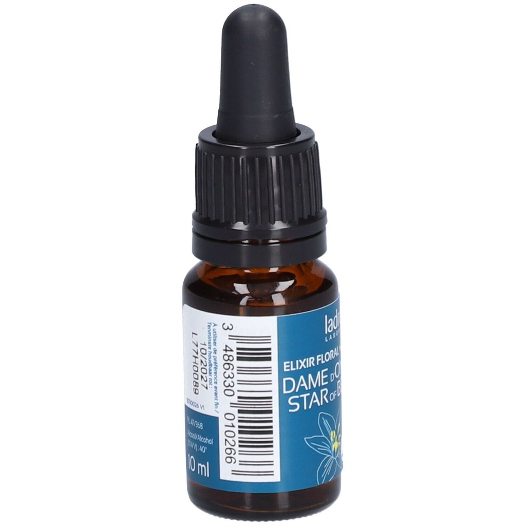 Etoile de bethléhem - star of bethlehem n°29 - 10 ml