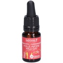 Folle avoine - wild oat n°36 - 10 ml
