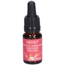 Gentiane n°12 - 10 ml