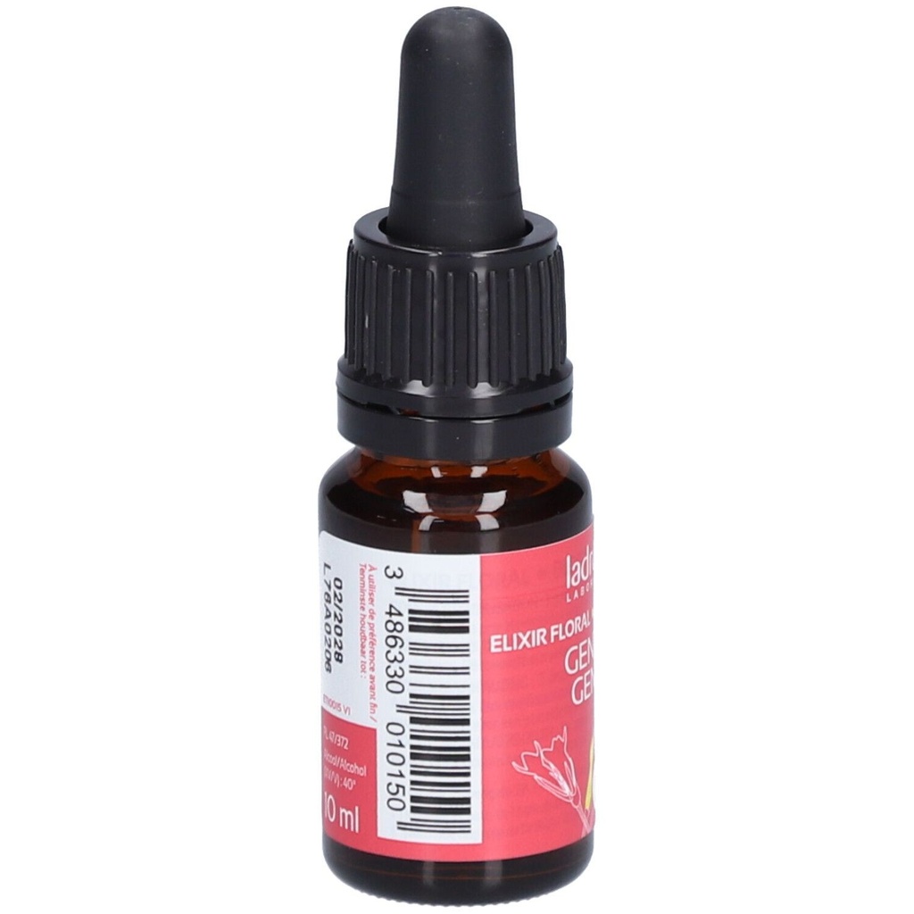 Gentiane n°12 - 10 ml