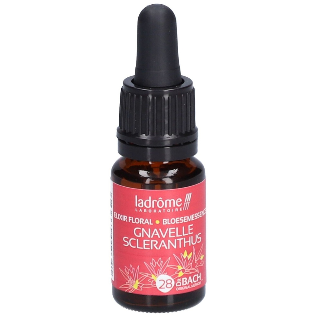 Gravele (alène) - scleranthus n°28 - 10 ml