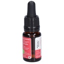 Gravele (alène) - scleranthus n°28 - 10 ml