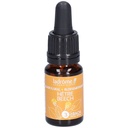 Hêtre - beech n°3 - 10 ml