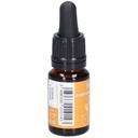 Hêtre - beech n°3 - 10 ml