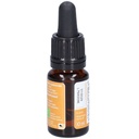 Hêtre - beech n°3 - 10 ml