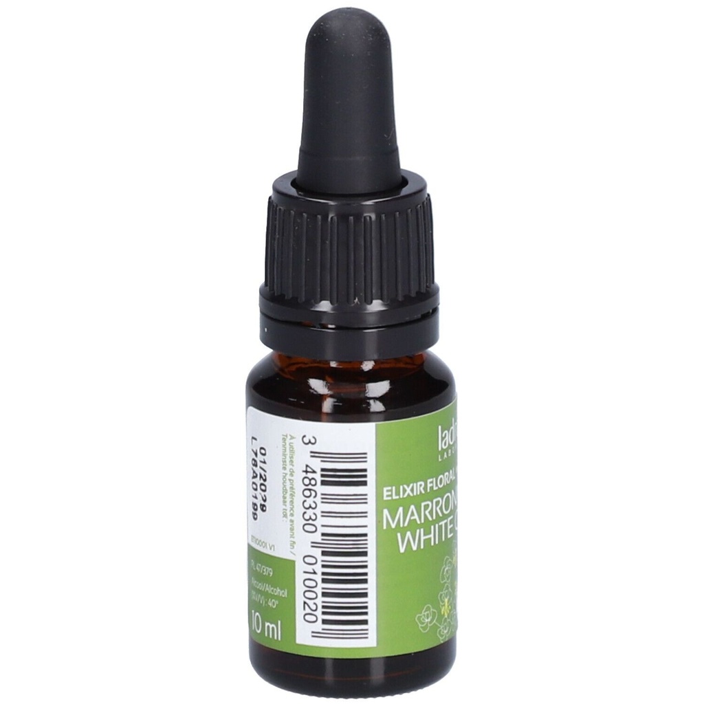 Marronier blanc - white chestnut n°35 - 10 ml