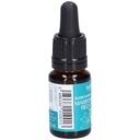 Marronier rouge - red chestnut n°25 - 10 ml