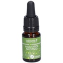 Moutard sauvage - mustard n°21 - 10 ml