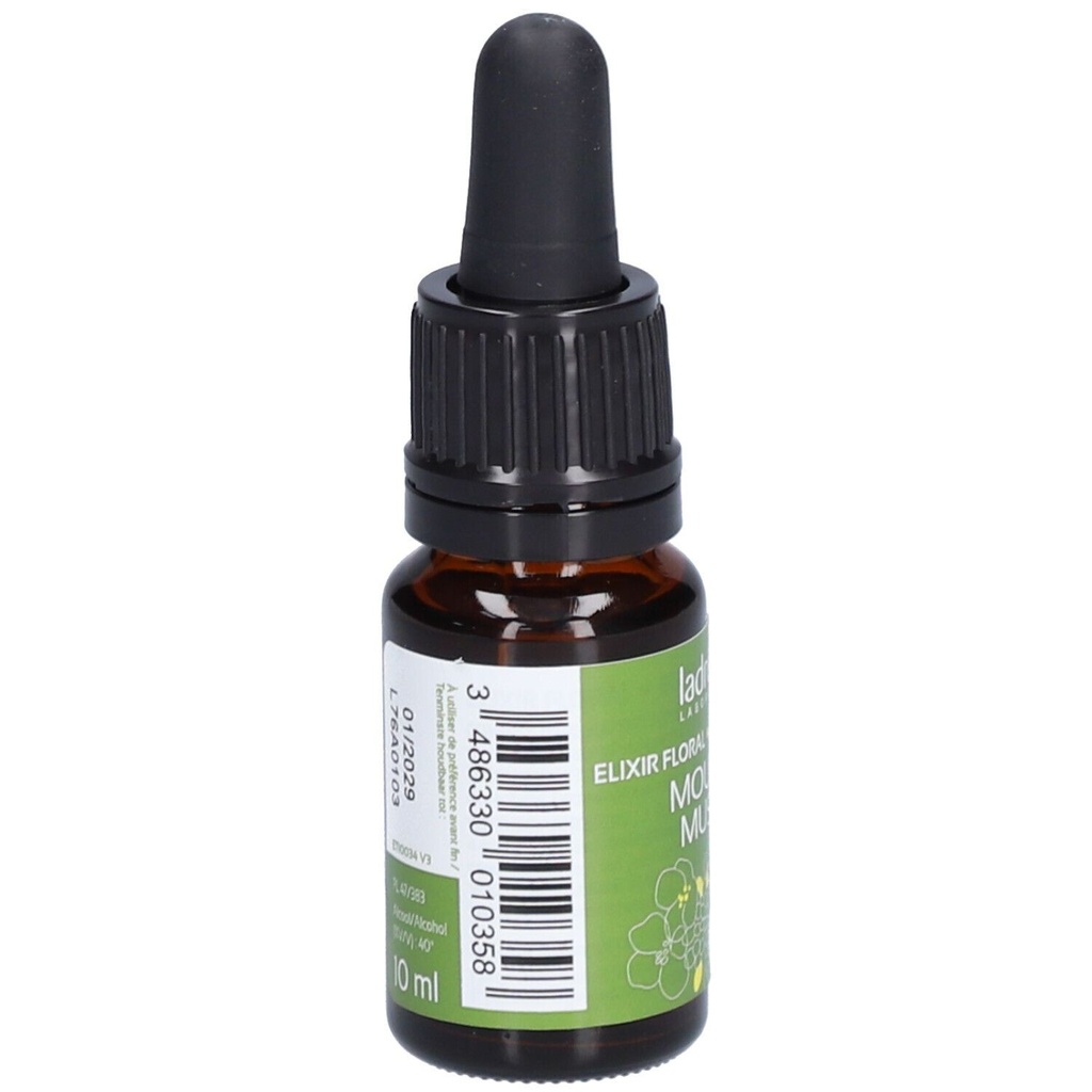 Moutard sauvage - mustard n°21 - 10 ml