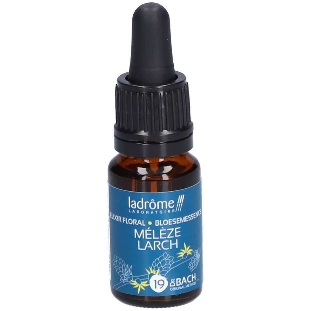 Mélèze d'europe - larch n°19 - 10 ml