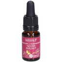Noyer commun - walnut n°33 - 10 ml
