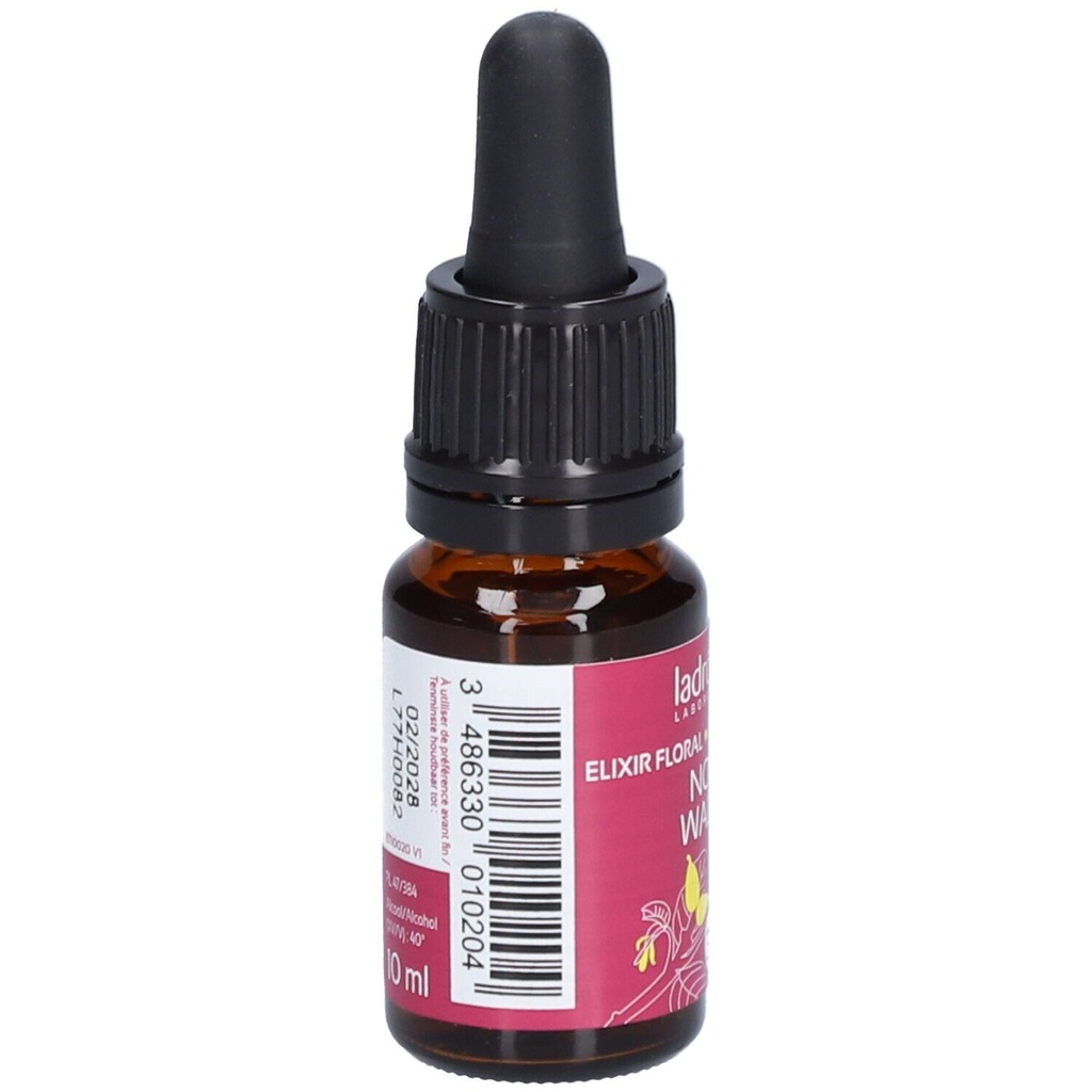Noyer commun - walnut n°33 - 10 ml