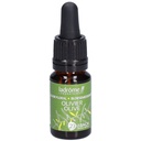 Olivier - olive n°23 - 10 ml