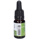 Olivier - olive n°23 - 10 ml