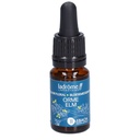 Orme - elm n°11 - 10 ml