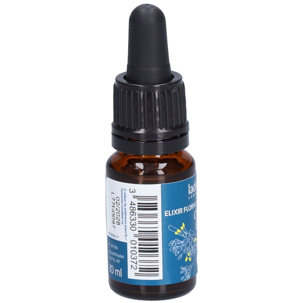 Orme - elm n°11 - 10 ml