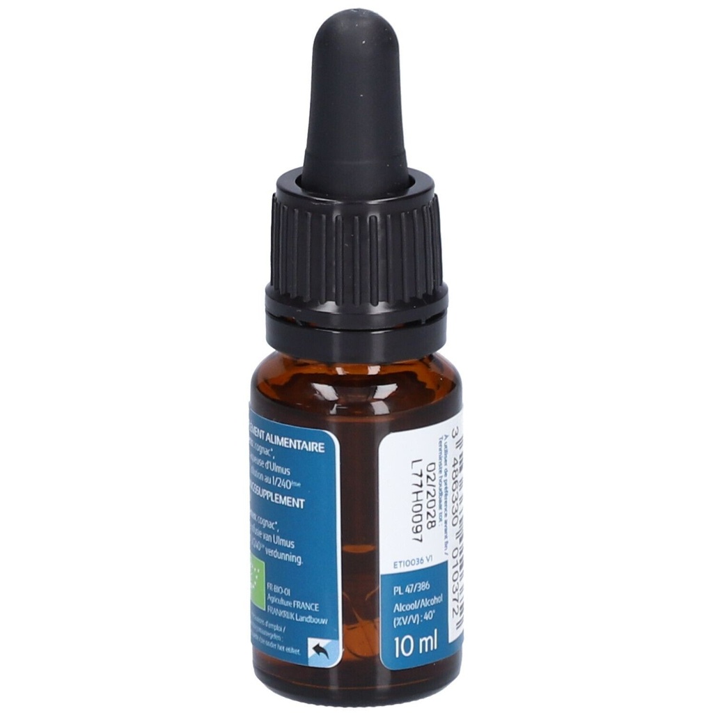 Orme - elm n°11 - 10 ml