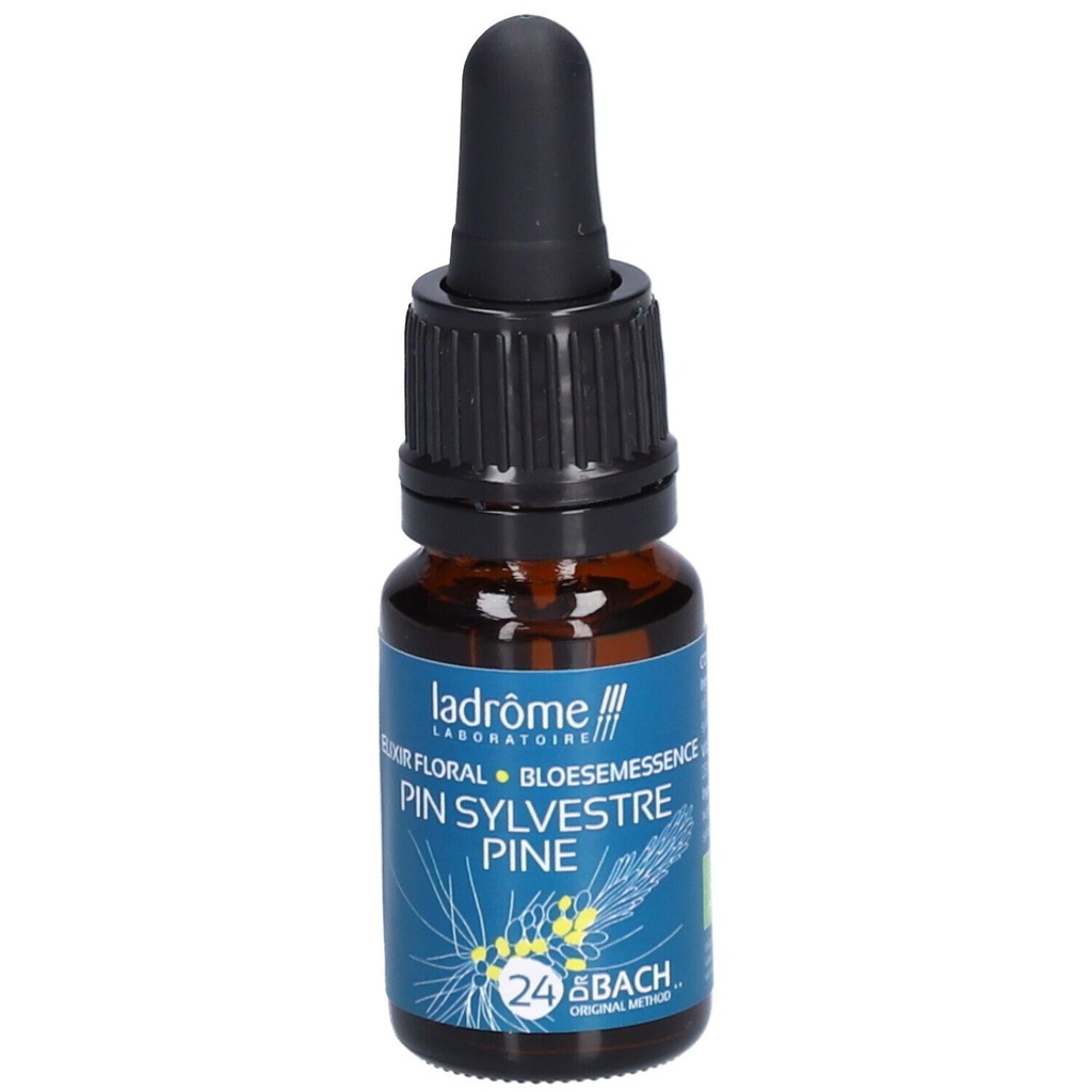 Pin - pine n°24 - 10 ml