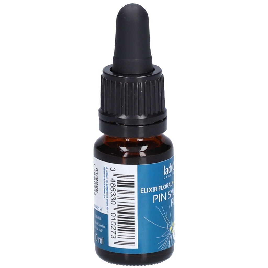 Pin - pine n°24 - 10 ml