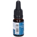 Pin - pine n°24 - 10 ml