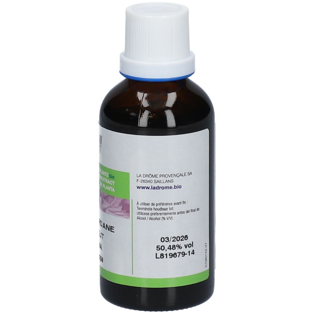 Teitnure mère de bardane - Arctium lappa - 50 ml