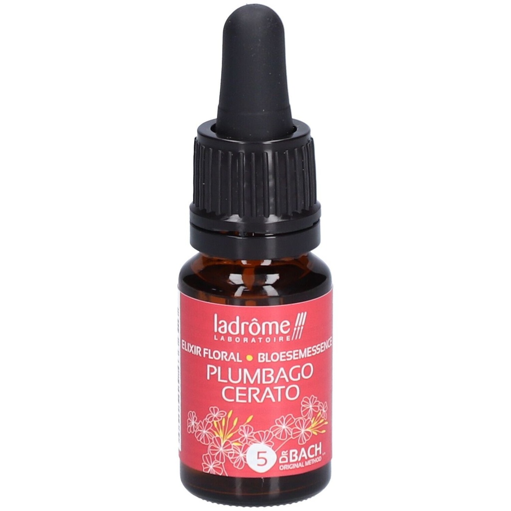 Plumbago - cerato n°5 - 10 ml