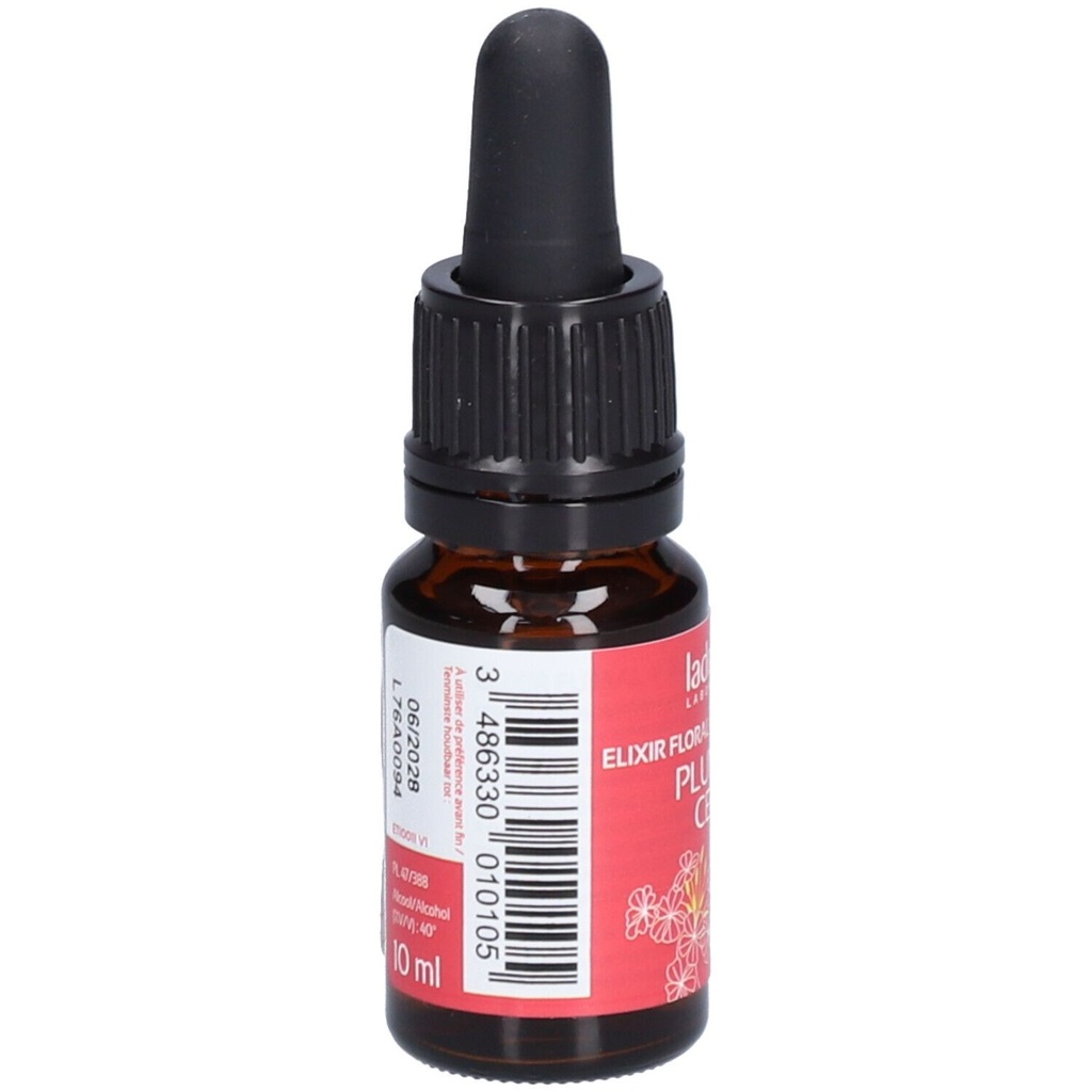 Plumbago - cerato n°5 - 10 ml