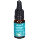 Prunus - cherry plum n°6 - 10 ml