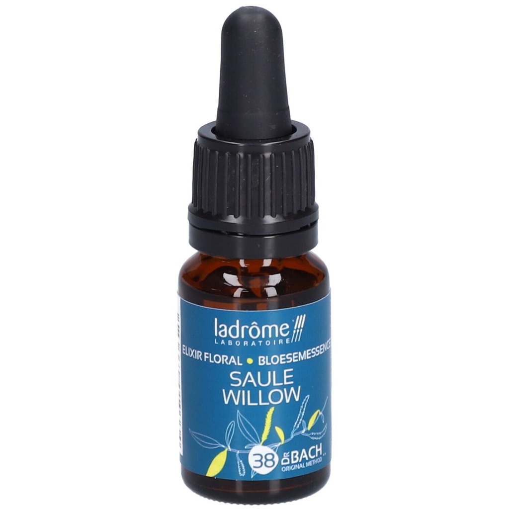 Saule - willow n°38 - 10 ml