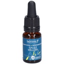 Saule - willow n°38 - 10 ml