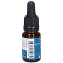 Saule - willow n°38 - 10 ml