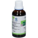 Tainture mère de grande camomille - Tanacetum parthenium - 50 ml