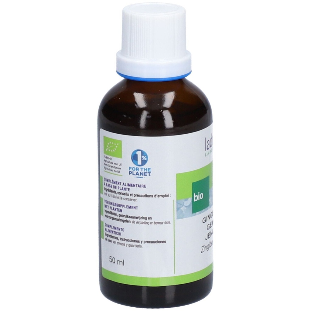 Teinture mère de gingembre - Zingiber officinalis - 50 ml
